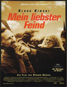 十二生肖之天下属兔